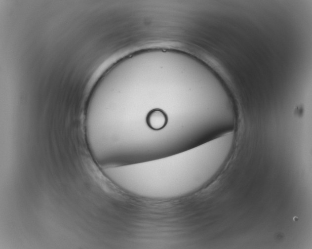 X0000113871332200910151251