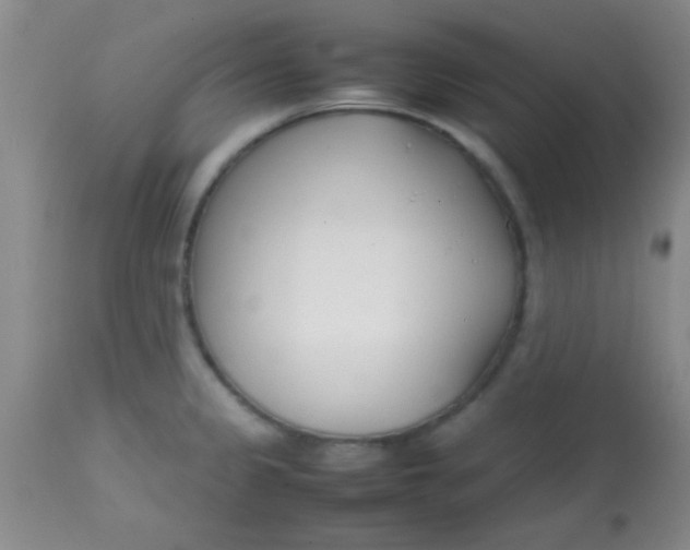 X0000113871333200910151251