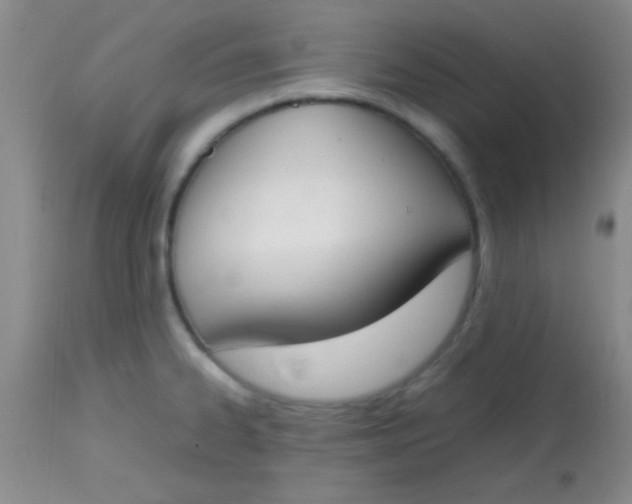 X0000113871334200910151251