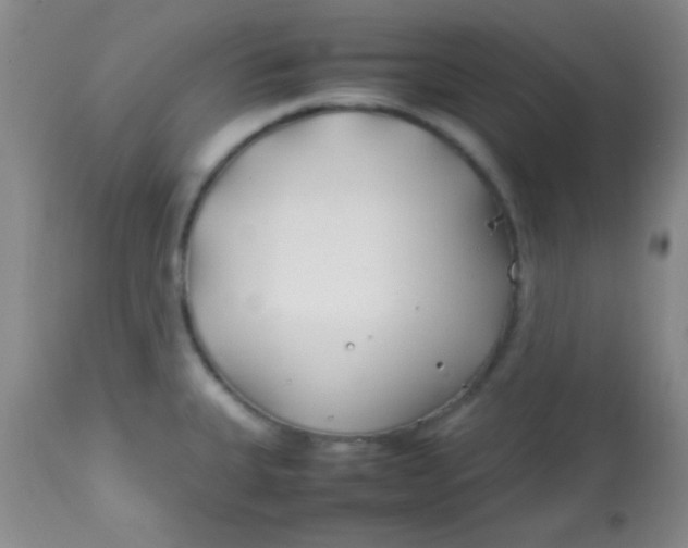 X0000113871335200910151251