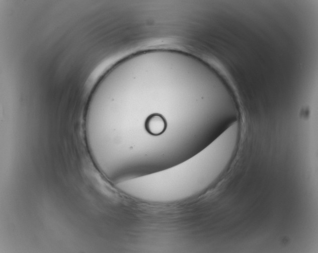 X0000113871336200910151251