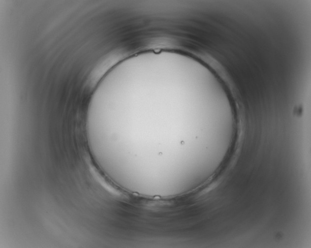 X0000113871337200910151251