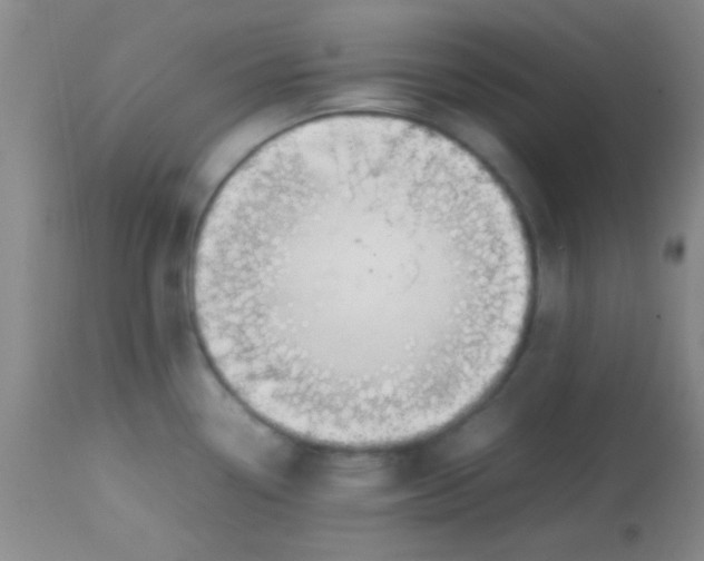 X0000113871338200910151251