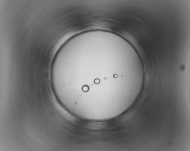 X0000113871339200910151251