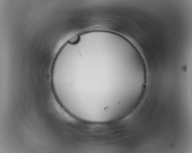 X0000113871341200910151251