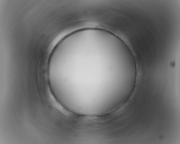 X0000113871342200910151251