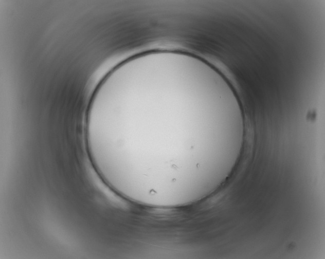 X0000113871343200910151251