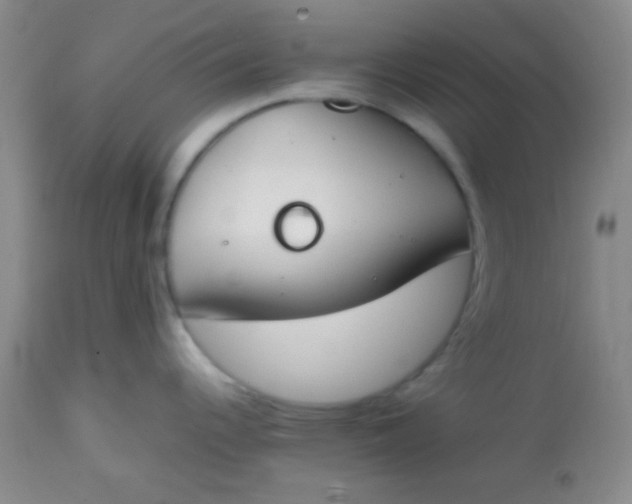 X0000113871344200910151251