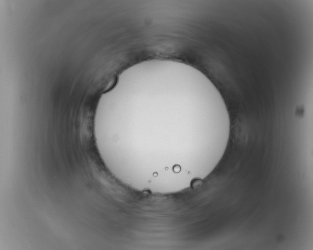 X0000113871346200910151250