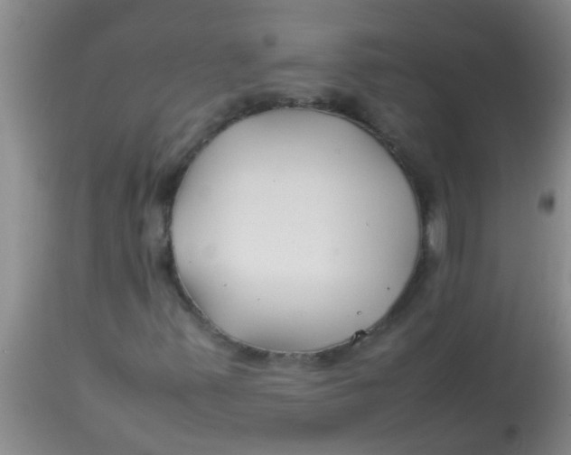 X0000113871347200910151250