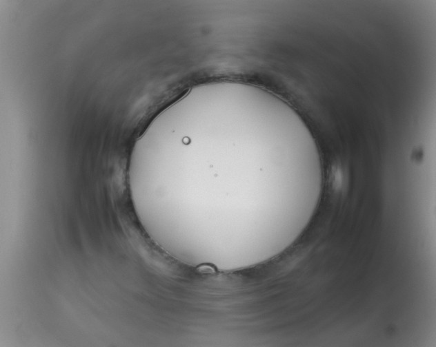 X0000113871348200910151250