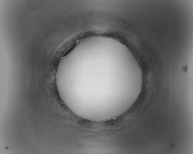 X0000113871349200910151250