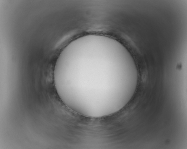 X0000113871350200910151250