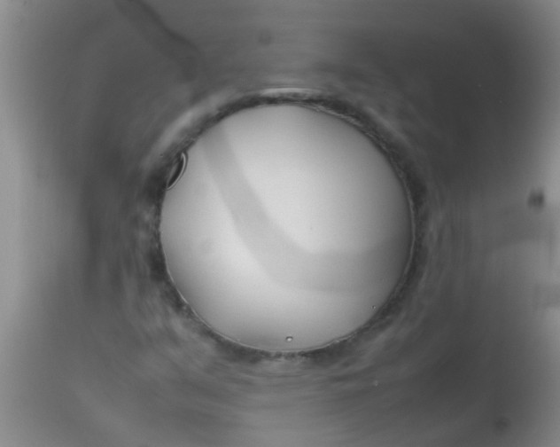 X0000113871351200910151250