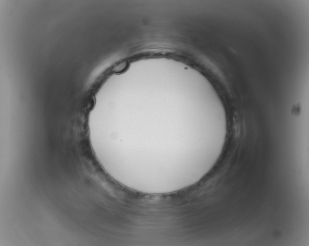 X0000113871352200910151250