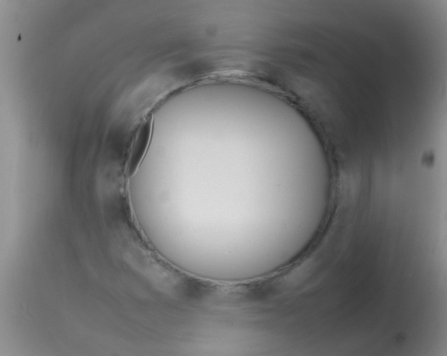 X0000113871353200910151250