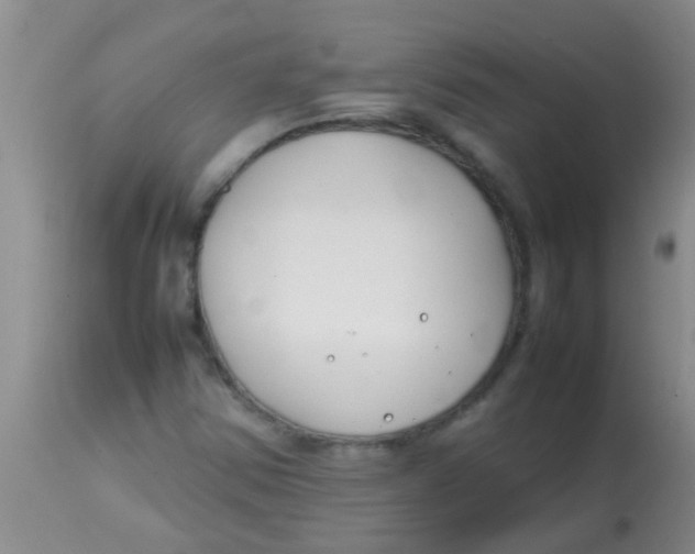 X0000113871354200910151250