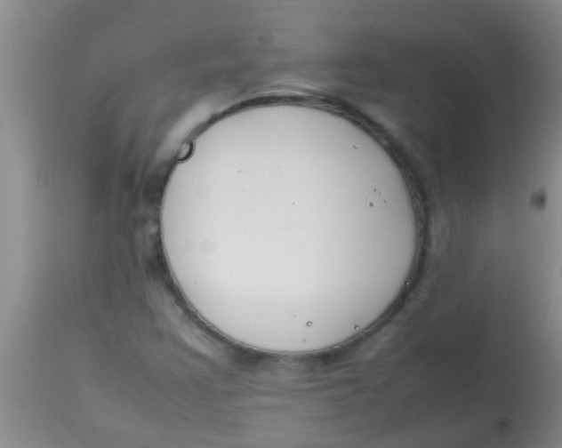 X0000113871355200910151250