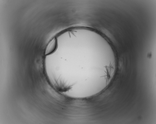 X0000113871356200910151250