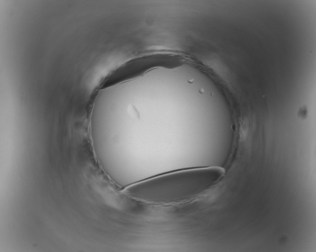 X0000113871357200910151250