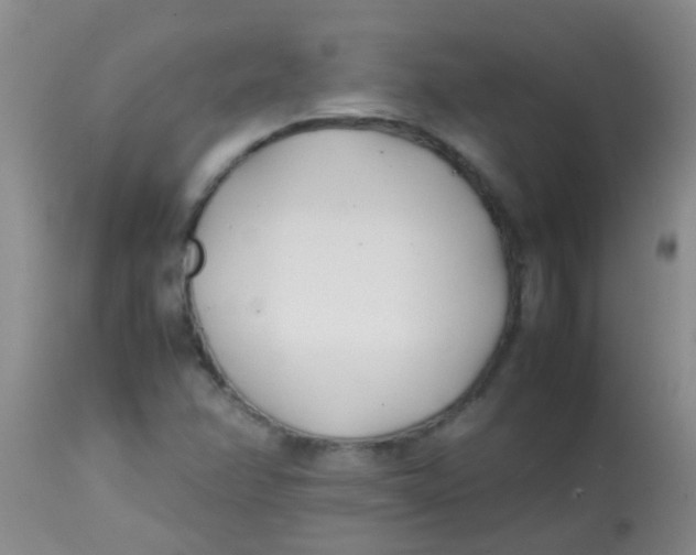 X0000113871358200910151250