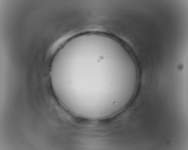 X0000113871359200910151250