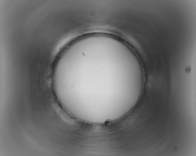 X0000113871360200910151250