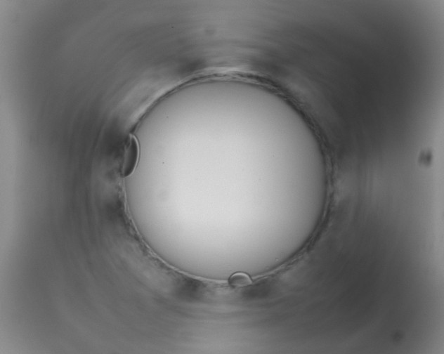 X0000113871361200910151250