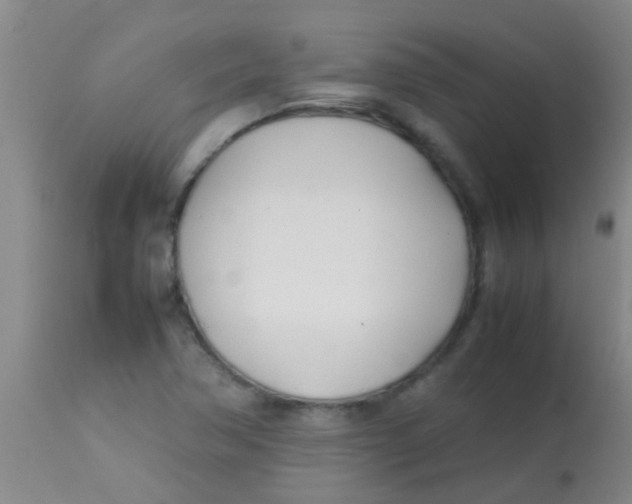 X0000113871362200910151250