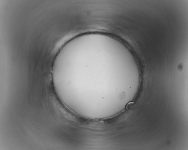 X0000113871363200910151250