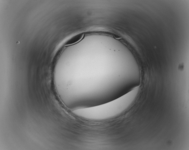 X0000113871364200910151250