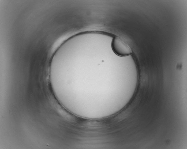 X0000113871366200910151250