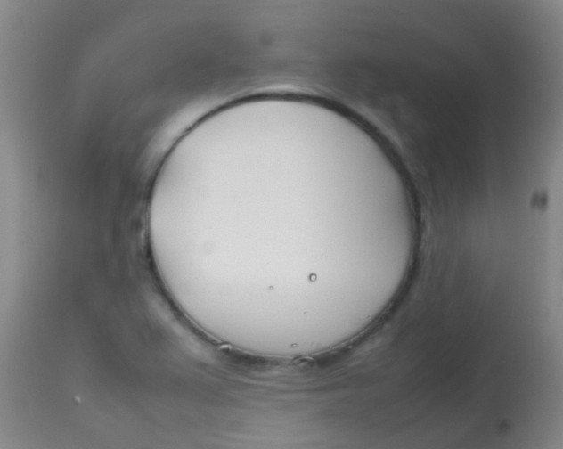 X0000113871367200910151250