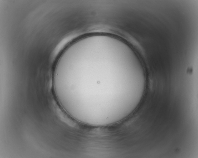 X0000113871368200910151250