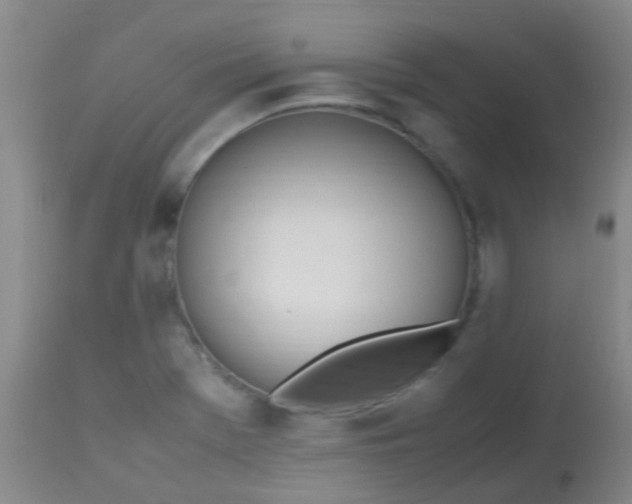 X0000113871369200910151250