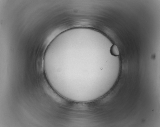 X0000113871370200910151250