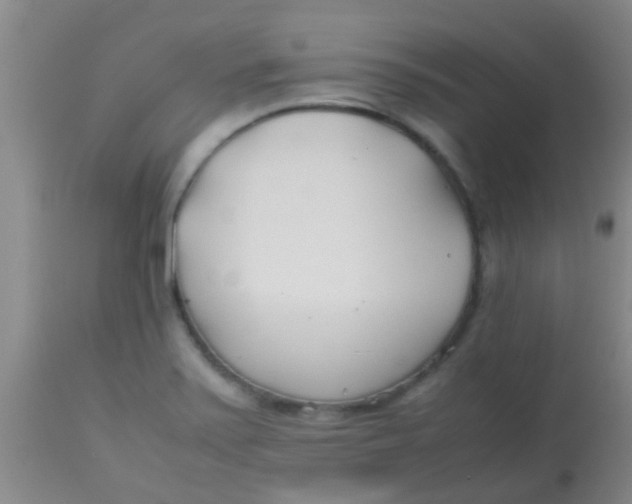 X0000113871371200910151250