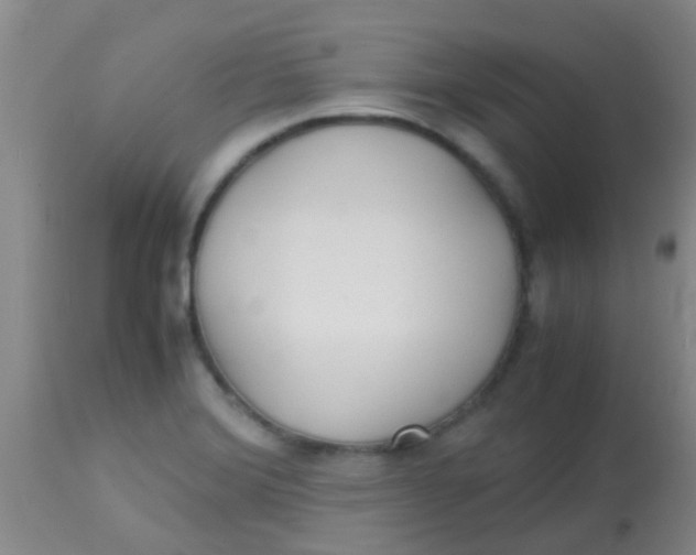 X0000113871372200910151250