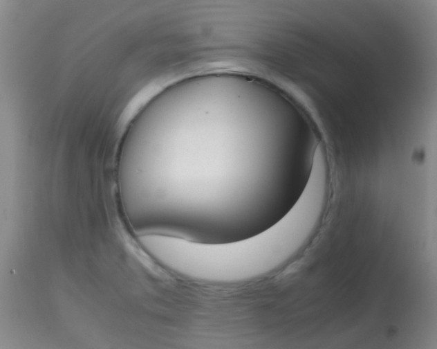 X0000113871373200910151250