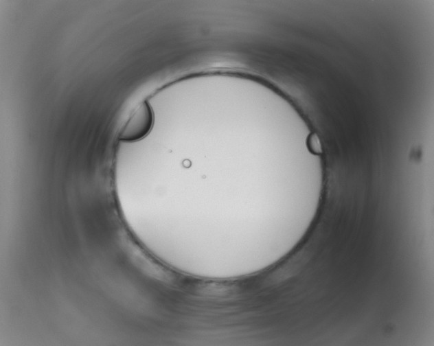 X0000113871374200910151250