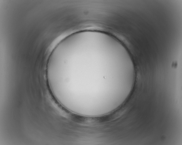 X0000113871375200910151250