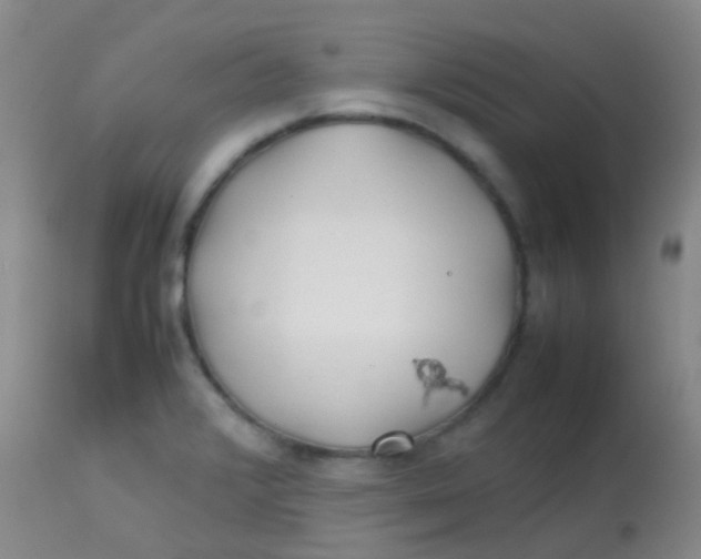 X0000113871376200910151250