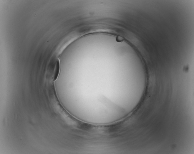 X0000113871377200910151250