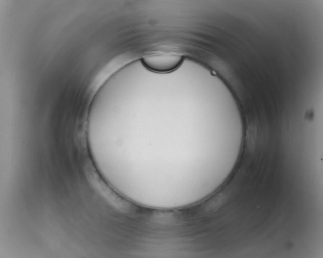 X0000113871378200910151250