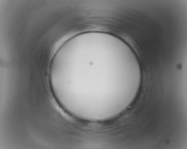 X0000113871379200910151250