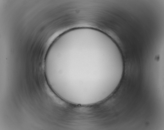 X0000113871380200910151250