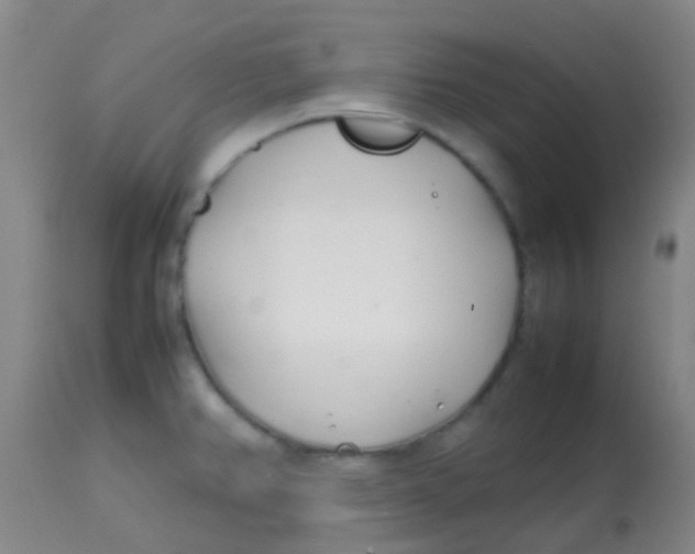 X0000113871382200910151250