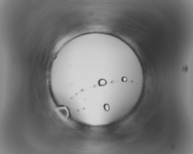 X0000113871383200910151250