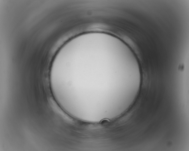 X0000113871384200910151250