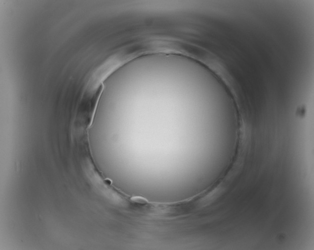 X0000113871385200910151250